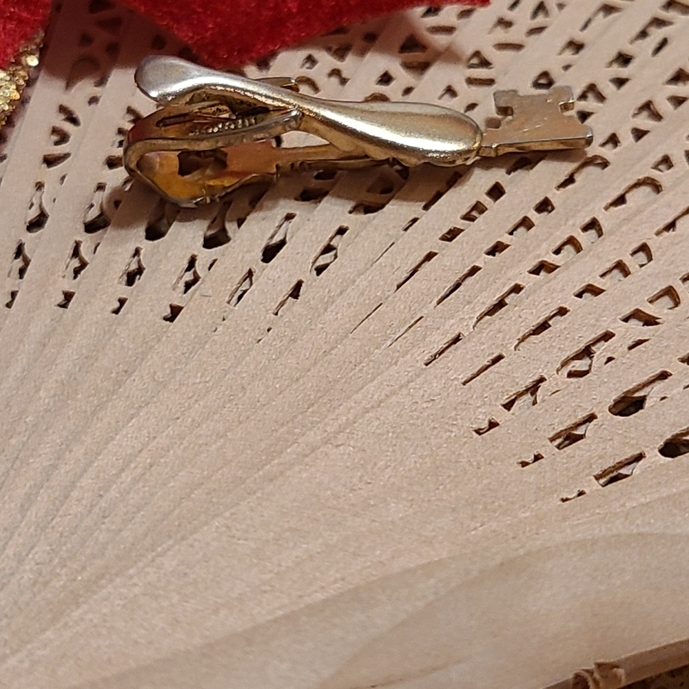 Gold Key Tie Clip - Picture 5 of 9